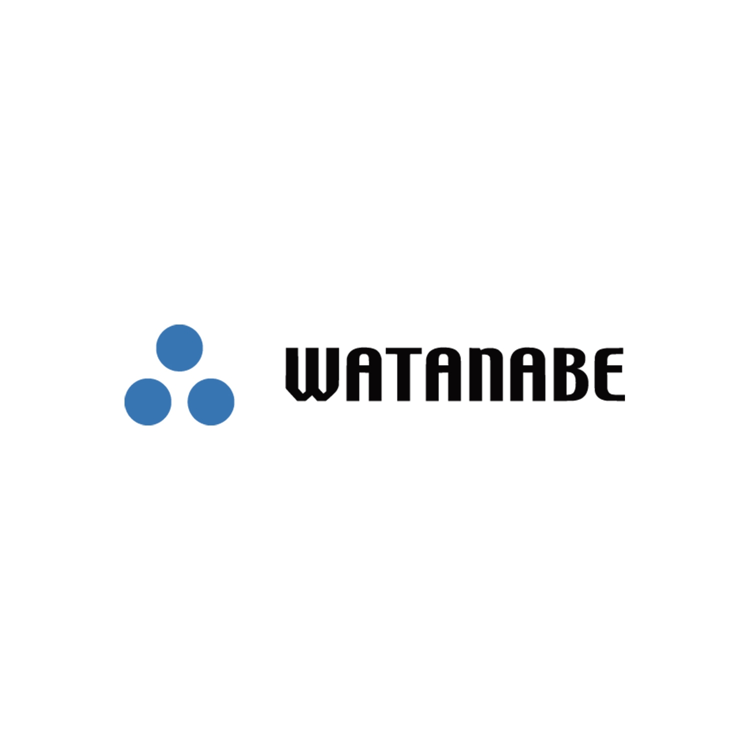 〈WATANABE〉地球儀