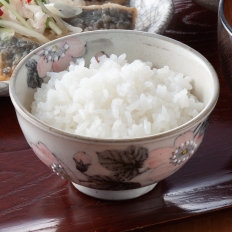 〈瀬戸焼〉薄墨桜 飯碗3個セット