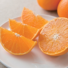 高知県産 四万十あま~いみかん